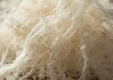 Konjac fiber texture for appetite support